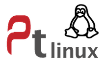 Pts linux что это